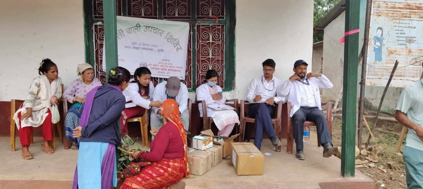 चौकुने गाउँपालिकाको साँझाहलमा एक दिने बाली उपचार शिविर सम्पन्न