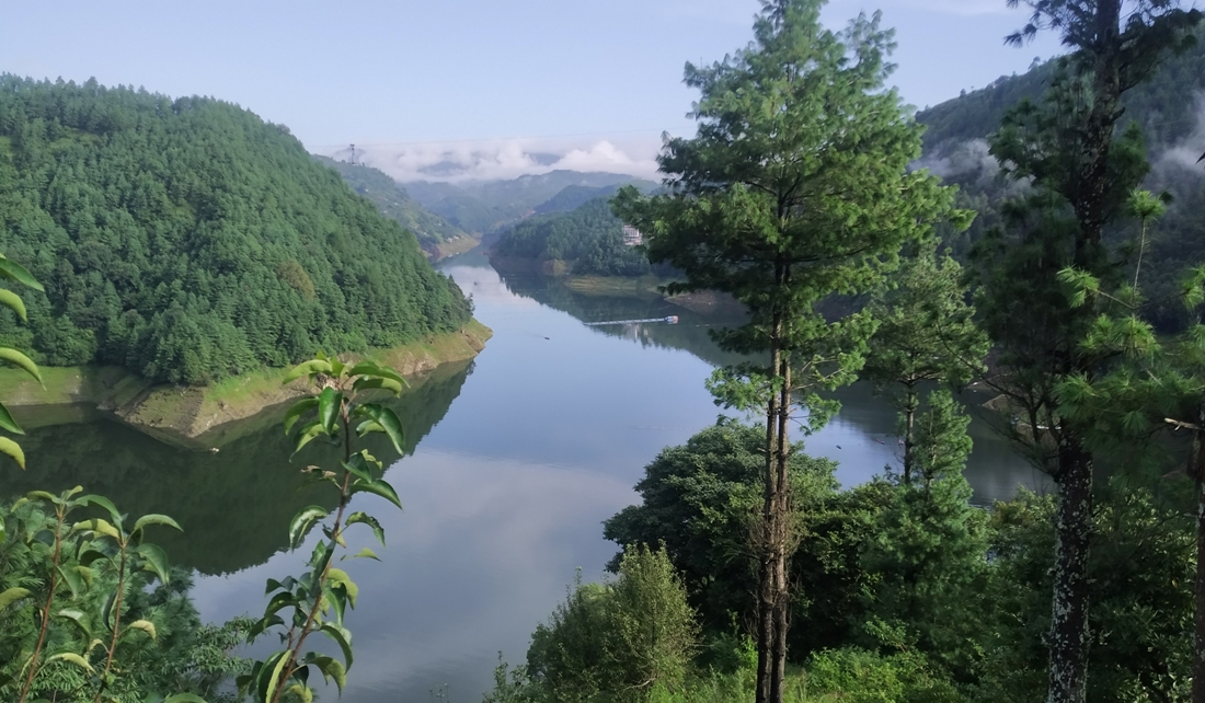 कुलेखानीको जलसतह ४४ मिटर घट्यो, के हो कारण ? ?