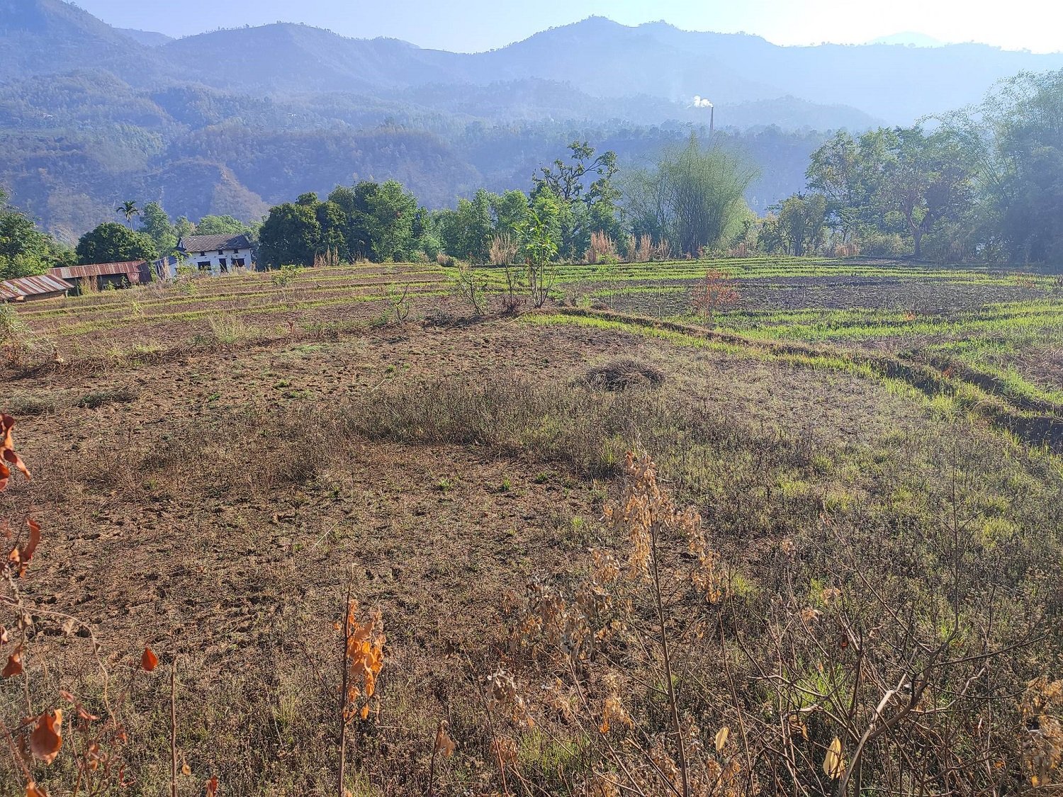 कर्णालीमा खेतीयोग्य जमिन बाँझो राख्नेलाई जरिवाना