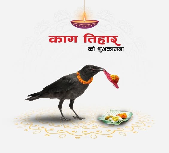 यमराजको दूत कागलाई मीठो खानेकुरा दिएर काग तिहार मनाइँदै