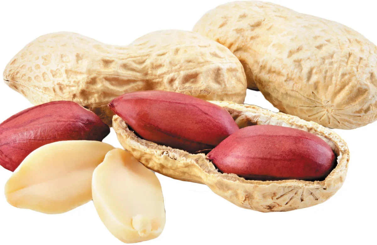 जाडोमा बदाम खानुका यस्ता फाइदा