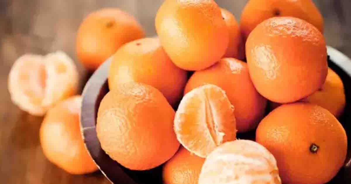 जाडोमा सुन्तला खानुका धेरै फाइदा