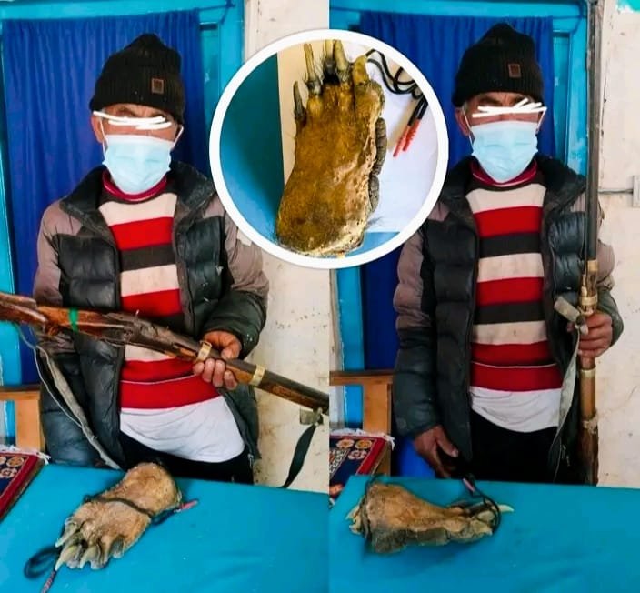 घरमा लुकाएर राखिएका भालुको पन्जा र भरुवा बन्दुकसहित ७४ वर्षीय वृद्ध पक्राउ