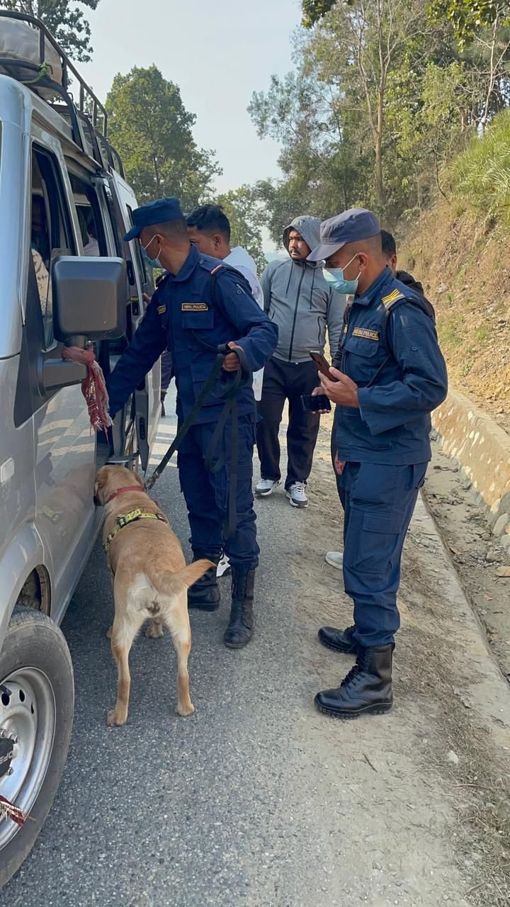 निर्वाचन सुरक्षालाई लक्षित गर्दै सुर्खेतमा k- 9 सहित संयुक्त चेकिङ, लागूऔषधसहित एक जना पक्राउ