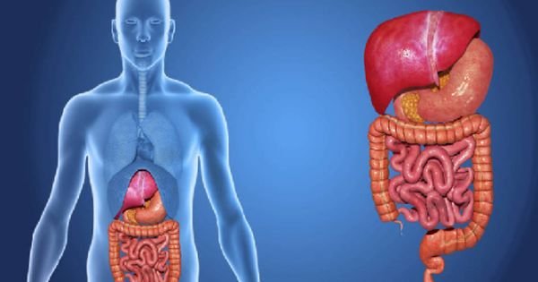 पाचन प्रणाली बलियो बनाउने ४ उपाय