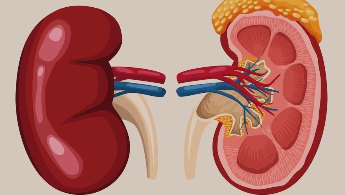 के हो मिर्गौला क्यान्सर, यो किन हुन्छ ?