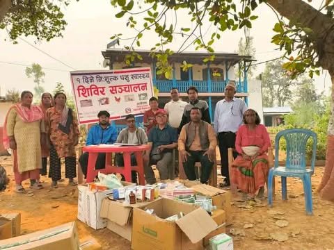 चौकुने गाउँपालिका–८ भट्टेसेरामा एकदिने पशु स्वास्थ्य शिविर सम्पन्न