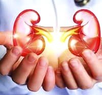 मृगौला स्वस्थ राख्न के कुरामा ध्यान दिने ?