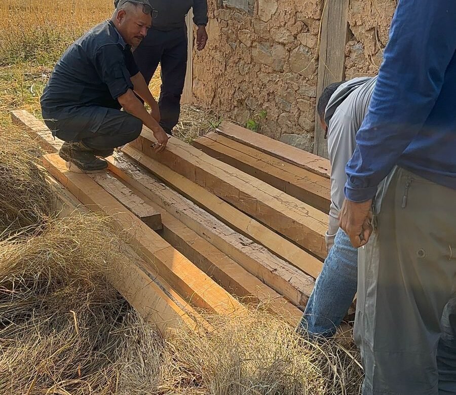 सुर्खेतकाे बराहतालमा अवैध सालको काठ बरामद 