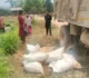 चौकुने गाउँपालिकामा ५० प्रतिशत अनुदानमा उन्नत धानको बीउ वितरण