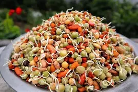 केराउ खाँदा हुन्छन् यस्ता फाइदा थाहापाउनुहोस् !
